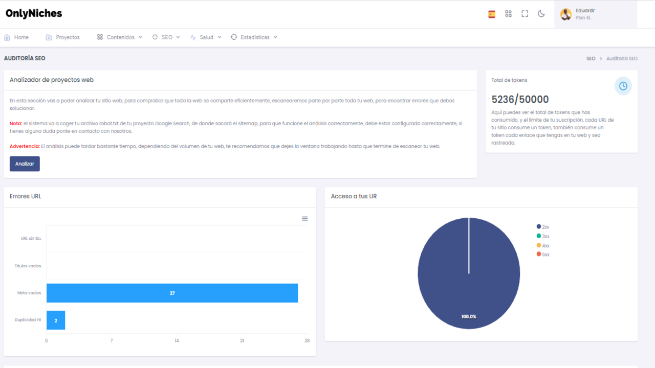 auditoria seo
