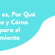 SEO LOCAL