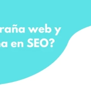 araña web