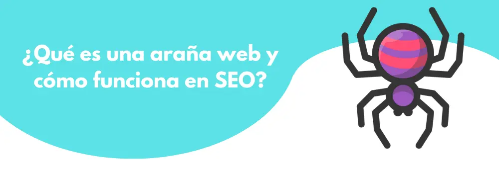 araña web