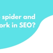 web spider