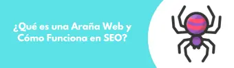 araña web